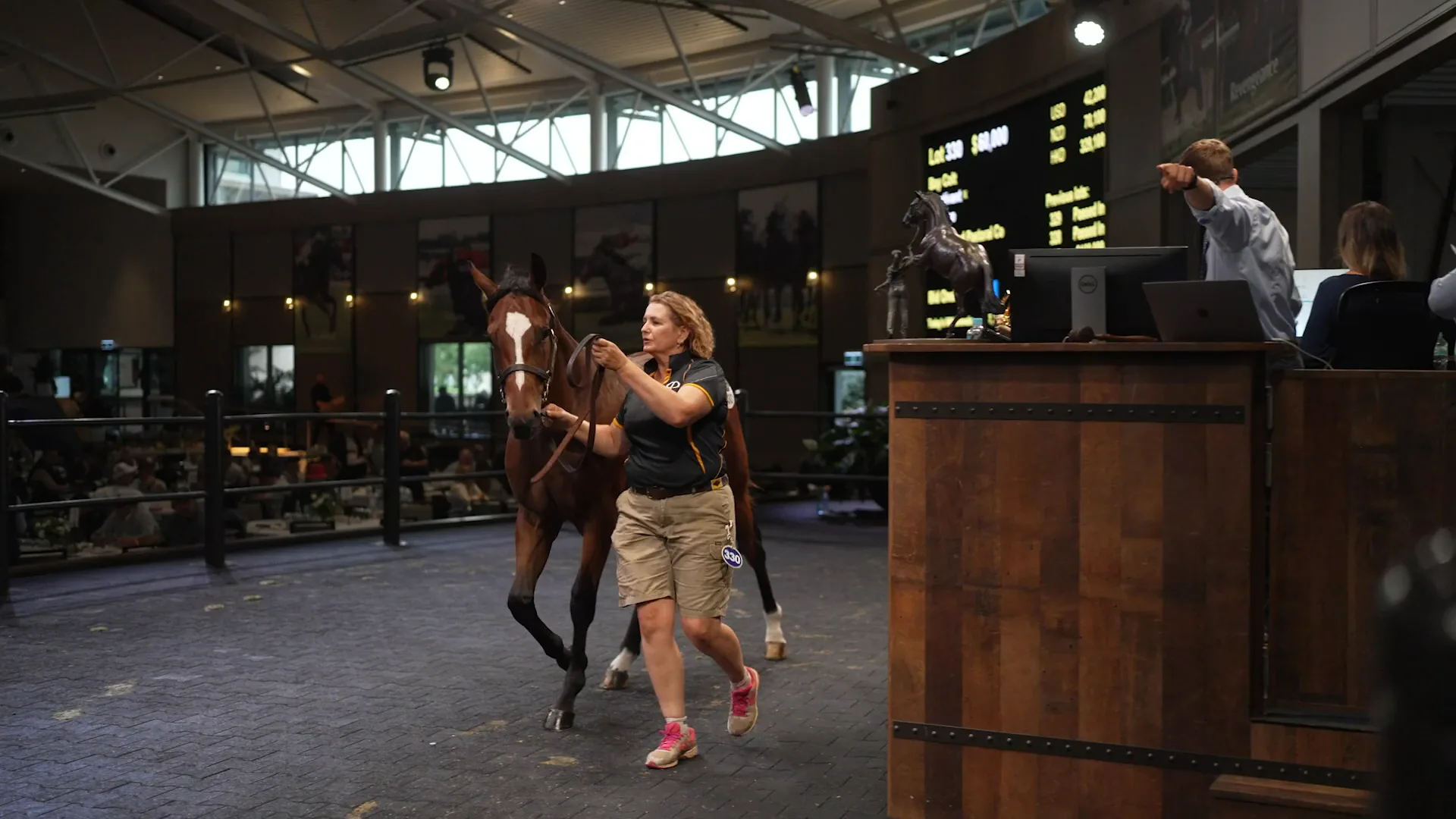 A yearling led around the sale ring at Inglis Riverside Stables during the Classic Yearling Sale, streamed by Zarco Creative