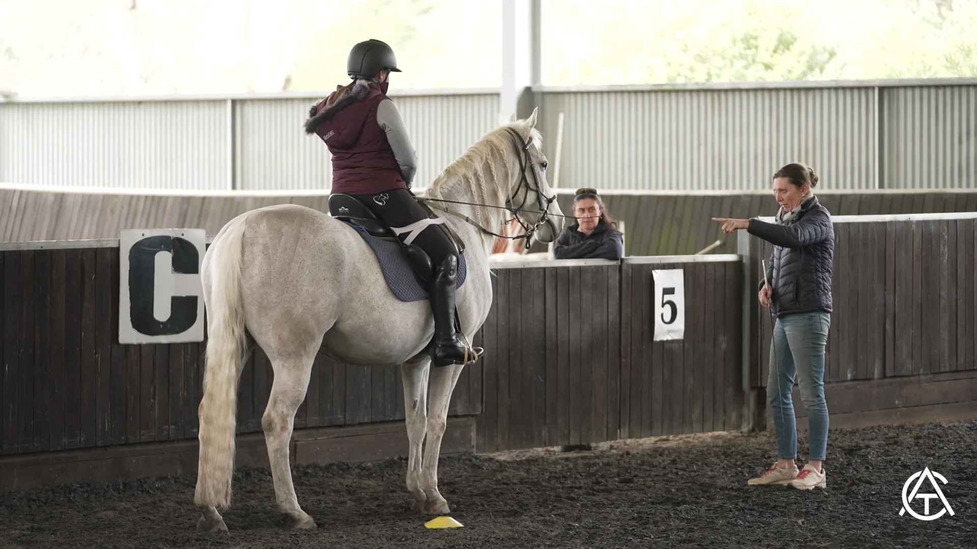 Charity brand story video production for Equine Pathways Australia, filmed by Zarco Creative