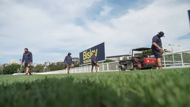 Employer Brand Video example