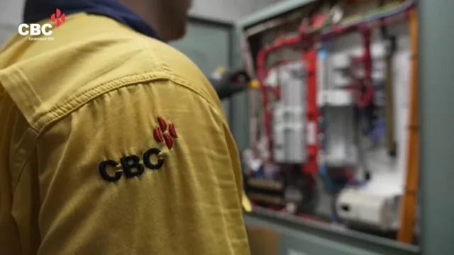 Testimonial Video example